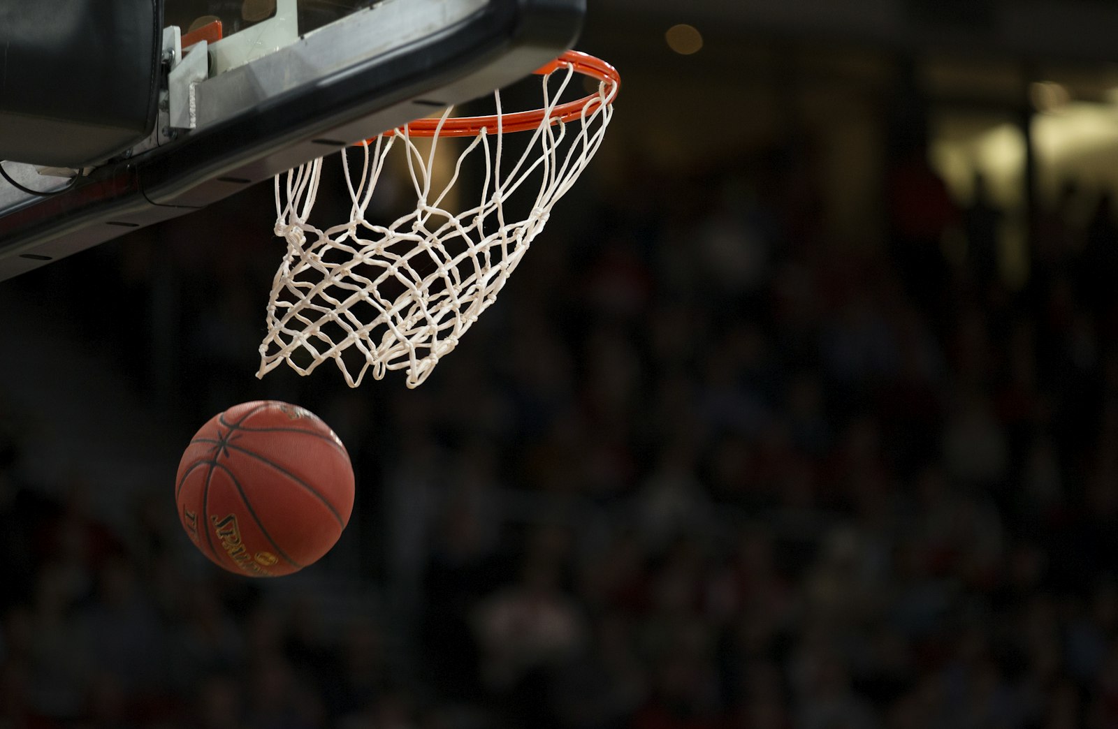 BK Lions Brno