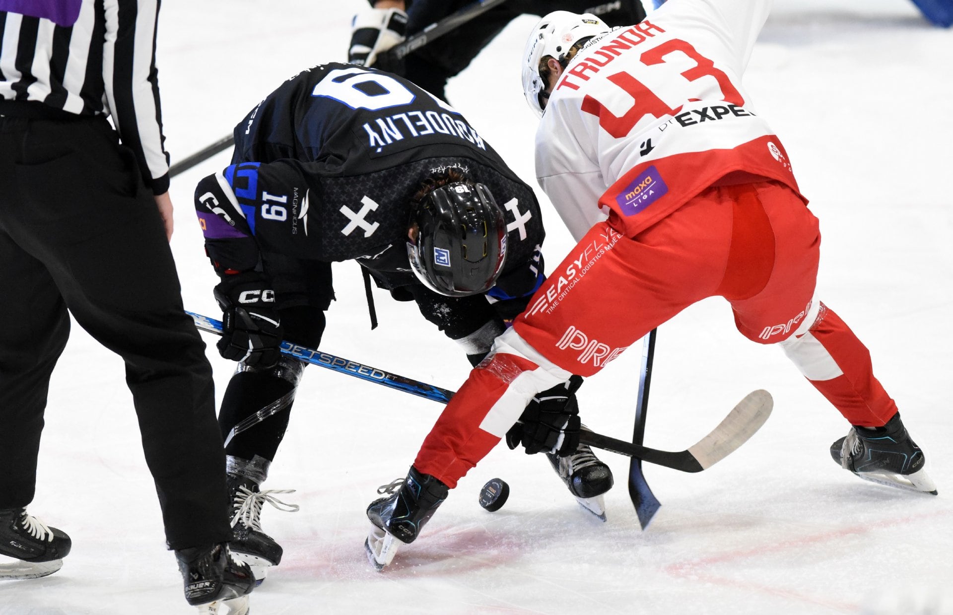 HC Slavia Praha — fotka 1