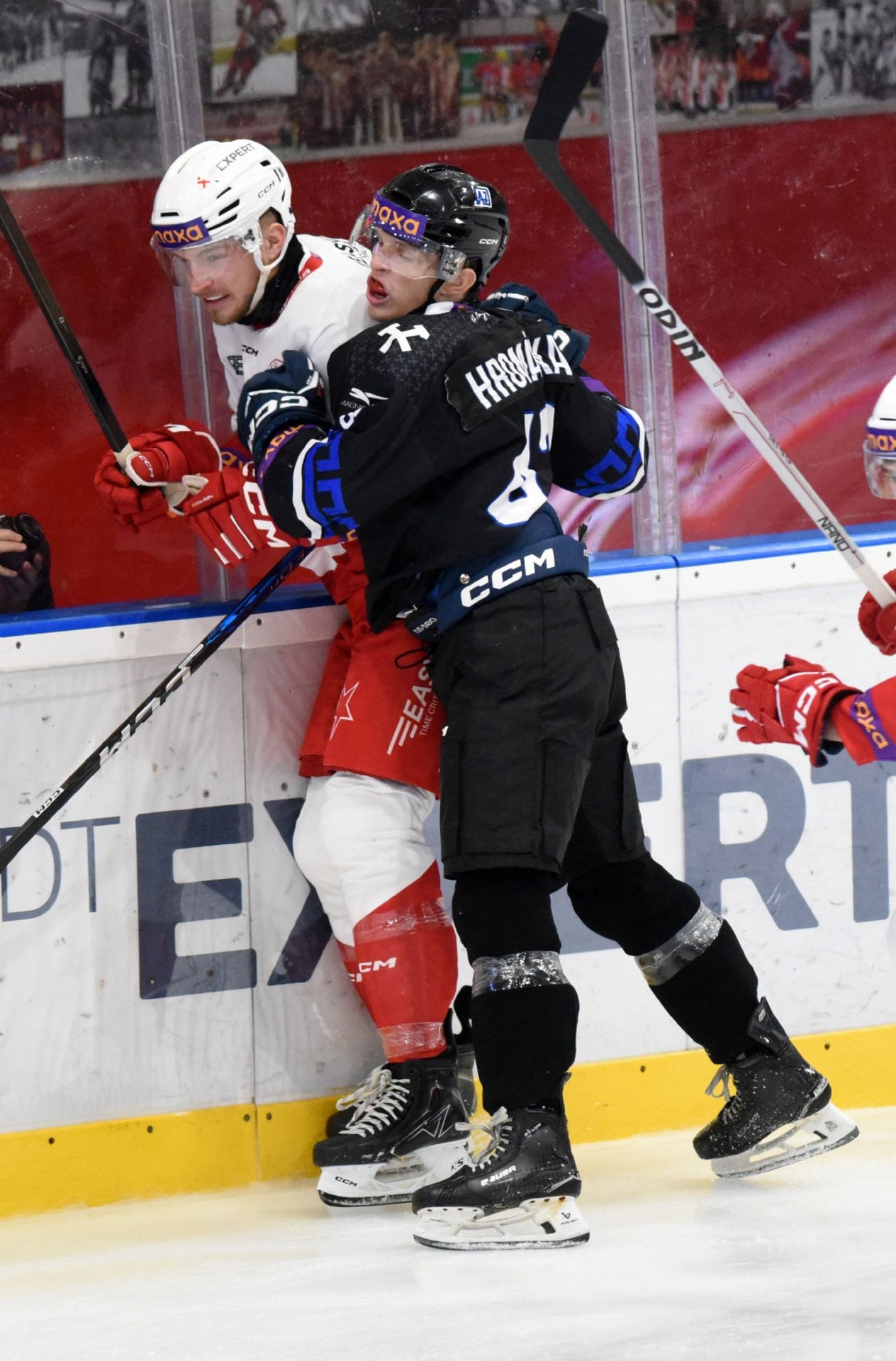 HC Slavia Praha — fotka 2