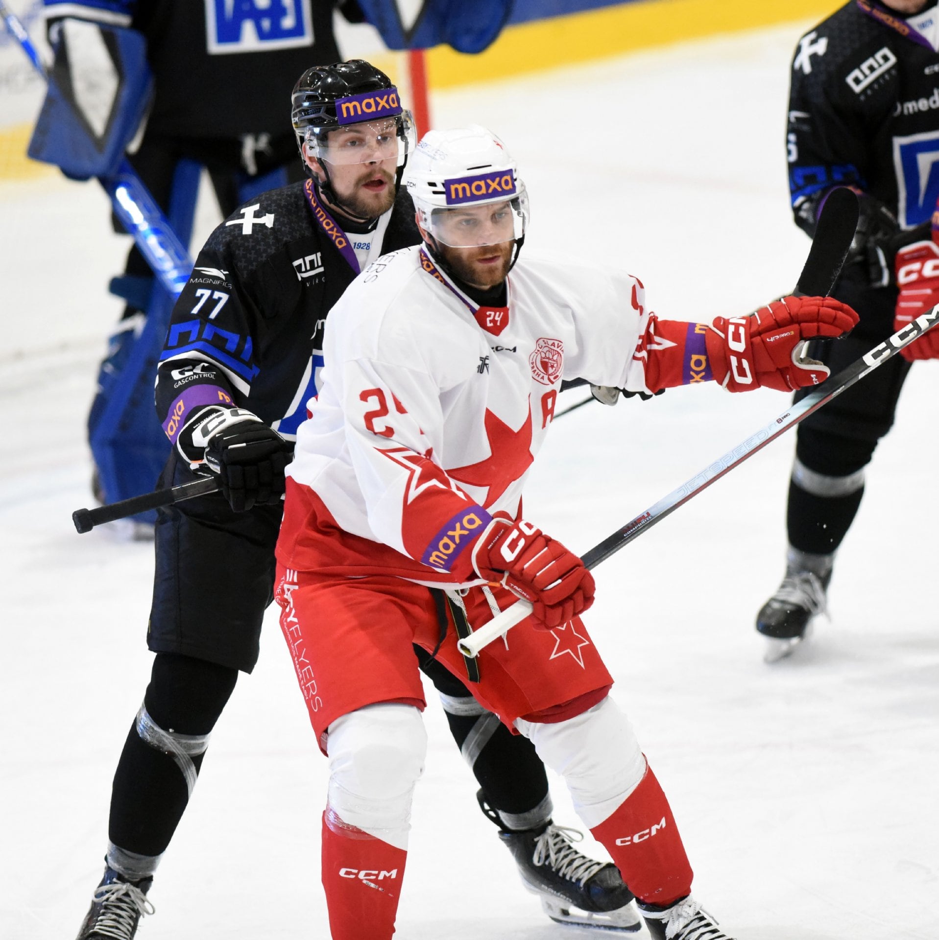 HC Slavia Praha — fotka 3